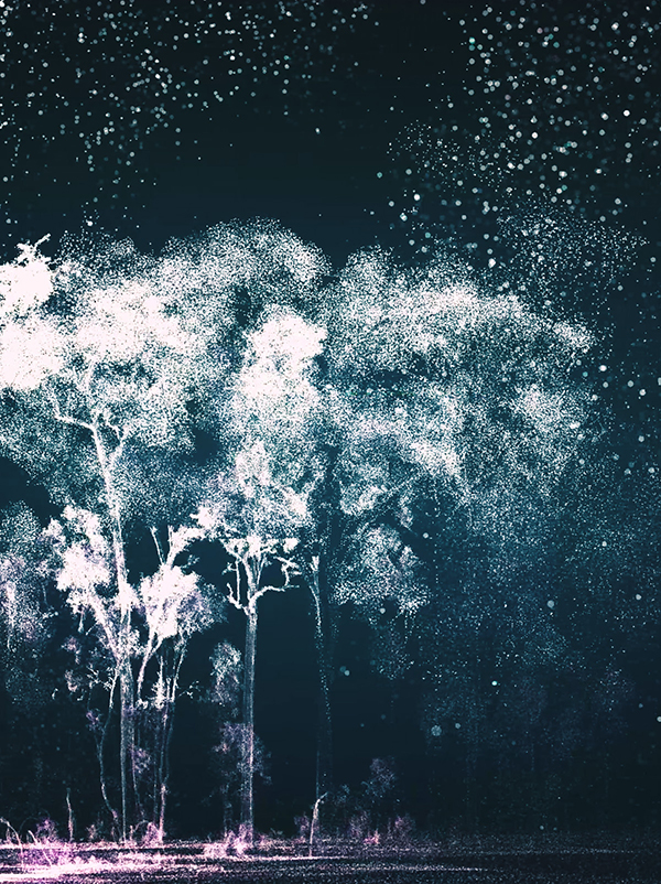 Interpretive Information